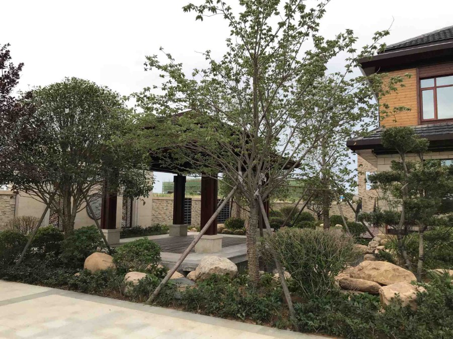 20180626_img_6149 拷貝.jpg